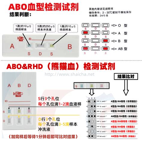 血型 查詢|血型